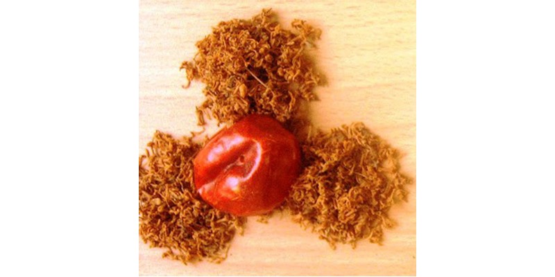 Vepampoo Vathal - 200/250 grams Vepampoo Vathal - 200/250 grams